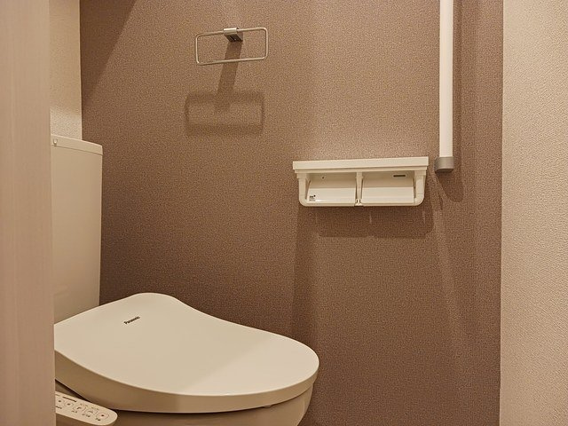 ヌーヴォー・リジェルⅢのトイレ|トイレです