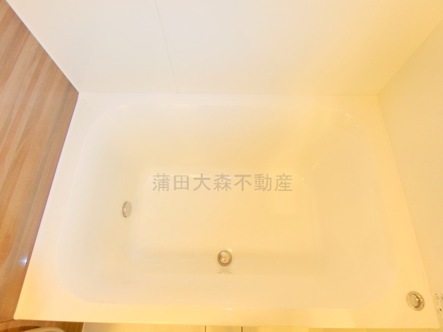 プレディアコート大森山王プレディアコートオオモリサンノウの浴室