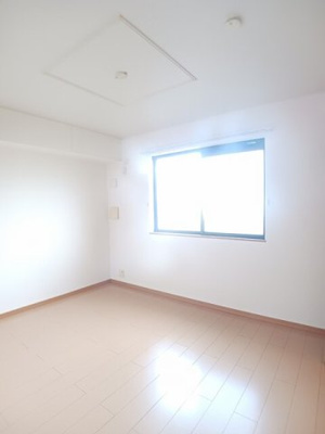 【その他】 | エバーグレイス