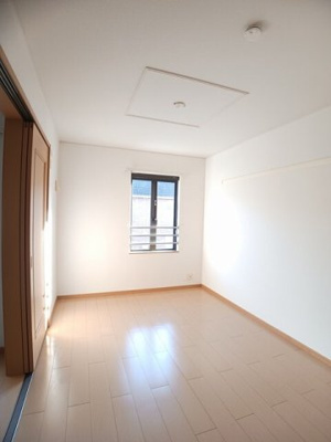 【その他】 | エバーグレイス