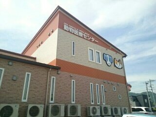 【周辺】 | カープⅠ | 動物医療センターまで520m