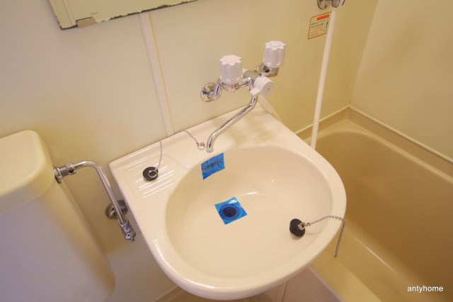 メゾン・ド・セレーネ　仲介手数料無料の洗面所