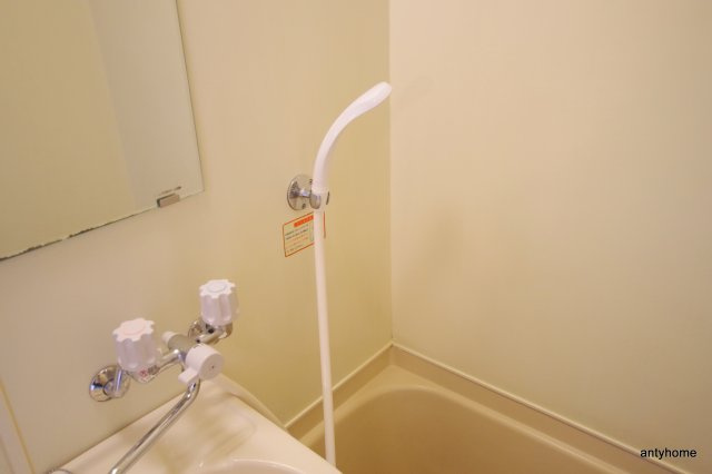 メゾン・ド・セレーネ　仲介手数料無料の浴室