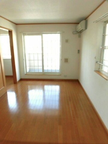 ドルフ・サンフラワー　Ⅲのその他