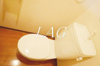 【トイレ】 | ＭＳＶ | トイレです。