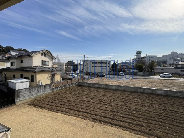 フェリースの展望