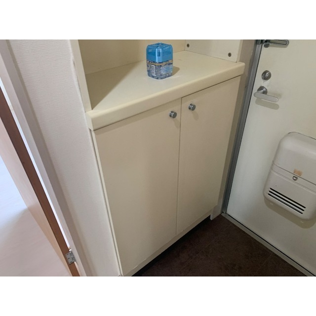 グリーンハイツ島野の玄関|内装も気になるポイント