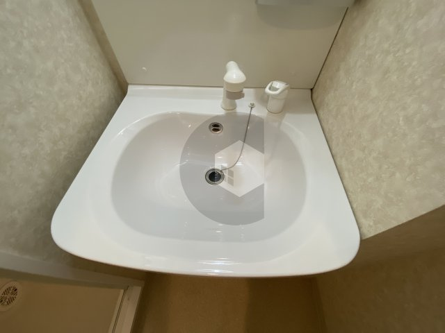 LUXE長田の洗面所