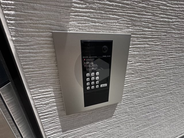 F asesia Ameniteのセキュリティ