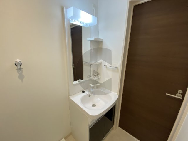 ルミエール若江岩田の独立洗面台