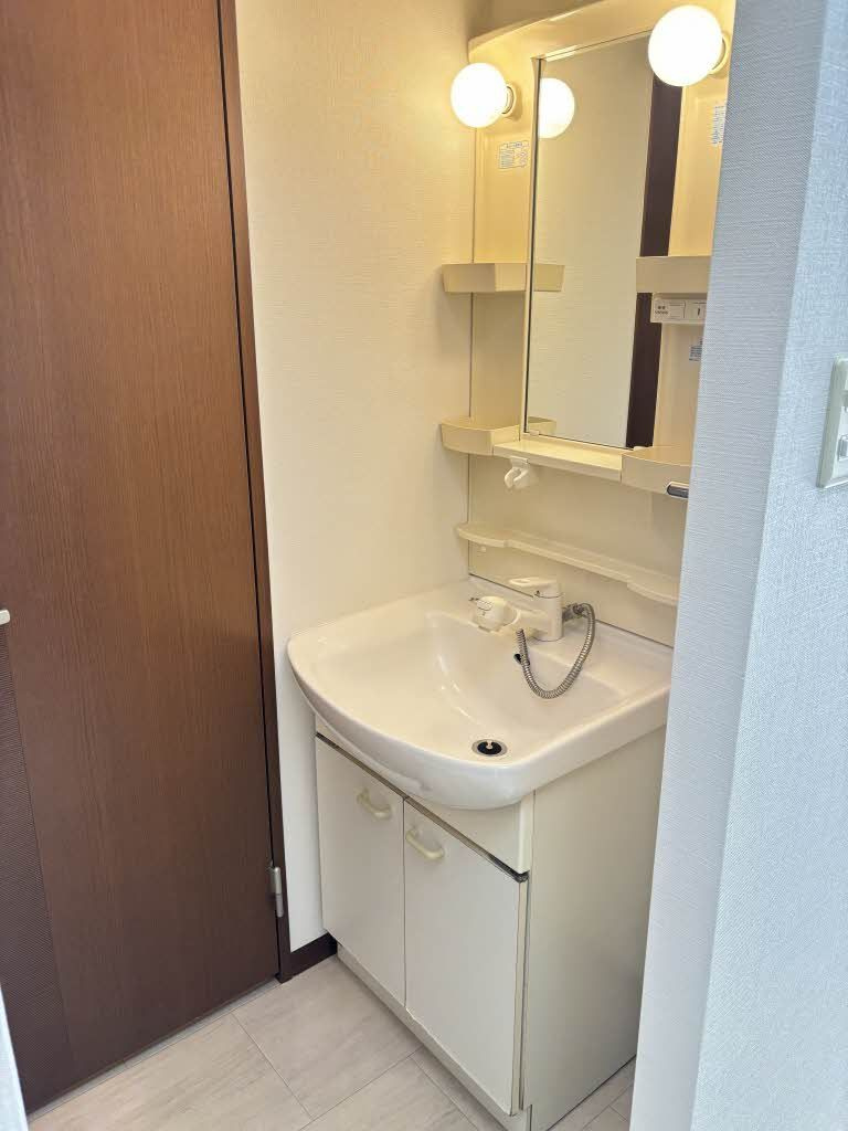 ディアス久保田の洗面所