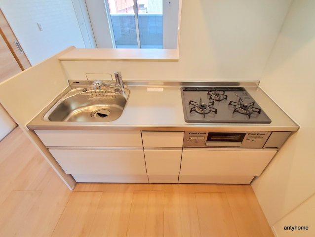 グリーンスコープD-room Ⅱ のキッチン