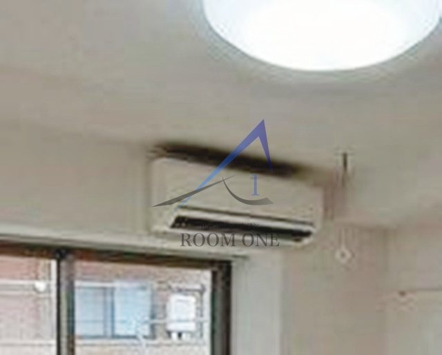 プライド　ロックのその他