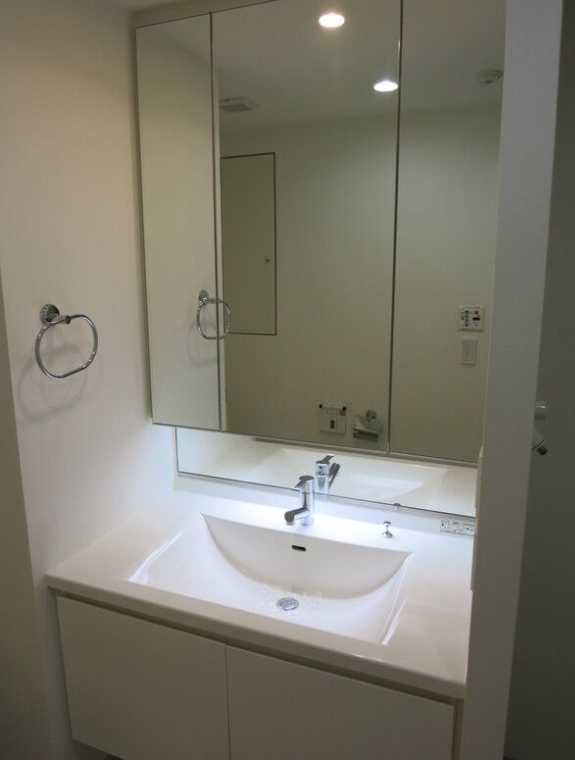 レジデンス三宿　ネット無料　トランクルーム　メゾネットの洗面所