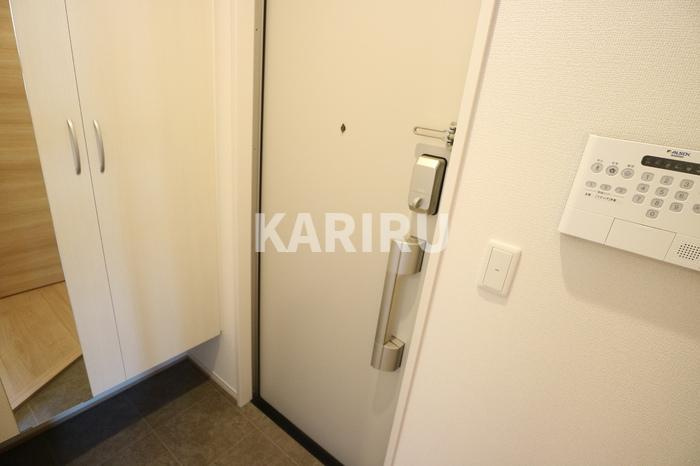 グリーンスコープＤ－ｒｏｏｍⅡ・Ⅲ　Ⅱの玄関