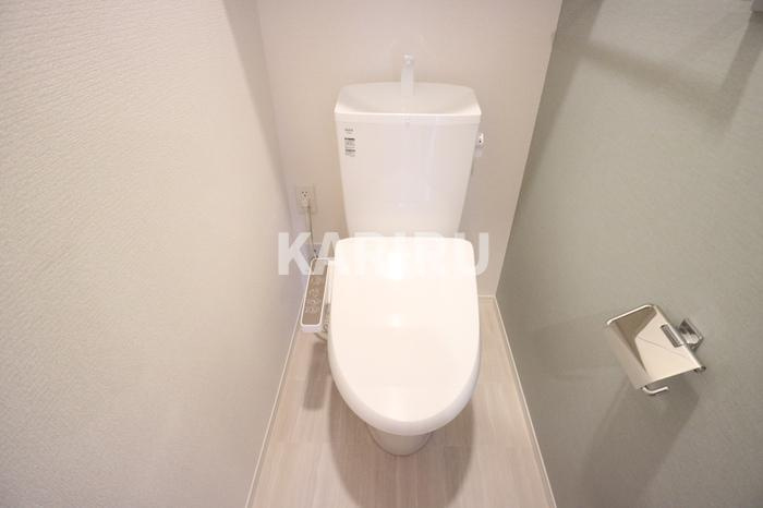 グリーンスコープＤ－ｒｏｏｍⅡ・Ⅲ　Ⅱのトイレ