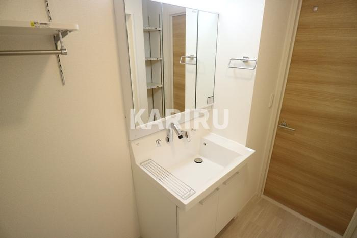 グリーンスコープＤ－ｒｏｏｍⅡ・Ⅲ　Ⅱの洗面所