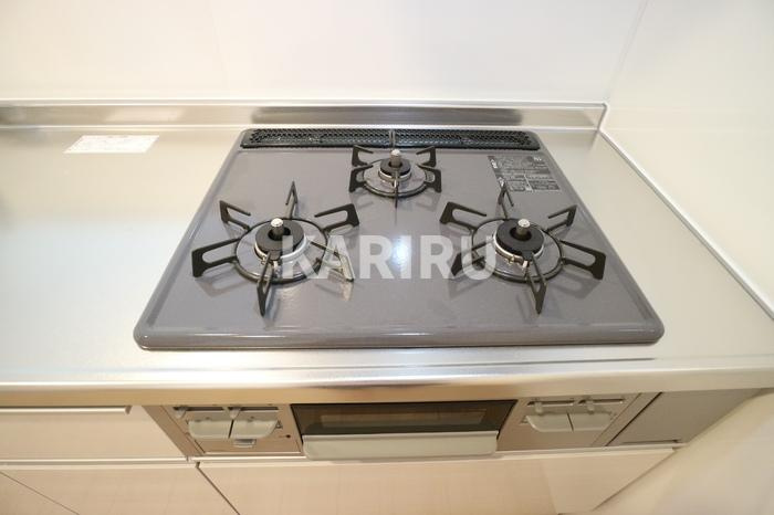 グリーンスコープＤ－ｒｏｏｍⅡ・Ⅲ　Ⅱのキッチン