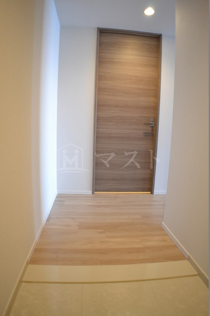 大阪市中央区南本町４丁目の賃貸マンションの玄関