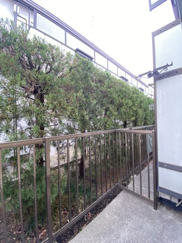 エクセルハイムAの展望