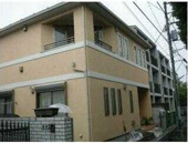 ＭＩＨＡＲＵの画像