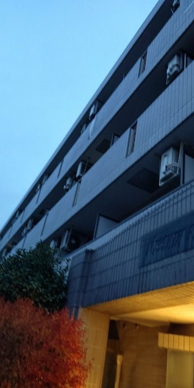 日神パレステージ武蔵関公園の外観