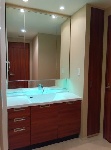 ザ・タワー大阪の洗面所