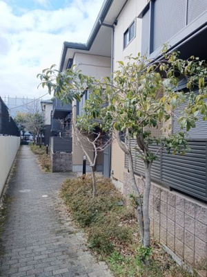 【エントランス】 | グリーンコート上牧