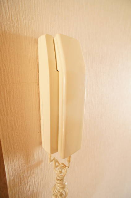 ガーデンヒルズ国分寺台Ｂ棟のセキュリティ|来訪者が確認できて安心のインターフォン♪