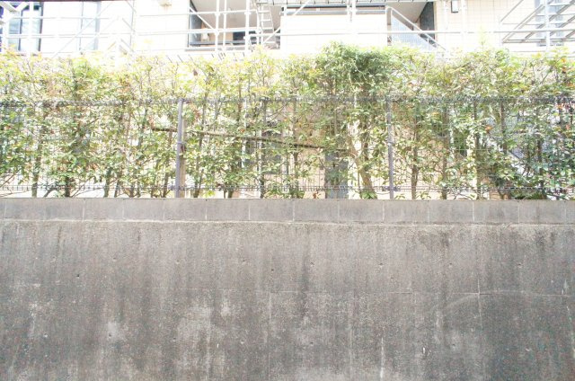 ガーデンヒルズ国分寺台Ｂ棟の庭