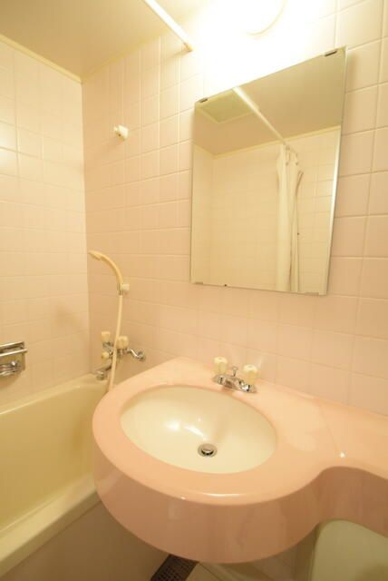 ヴィラ駒込の洗面所