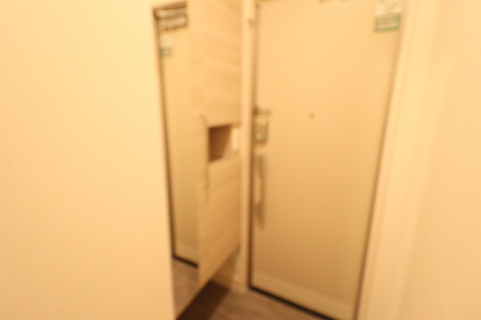 palacio Aのシャワールーム|トールタイプシューズボックス（姿見鏡付）