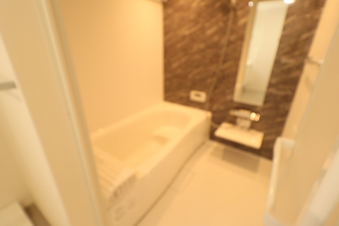 palacio Aのその他|1坪タイプユニットバス