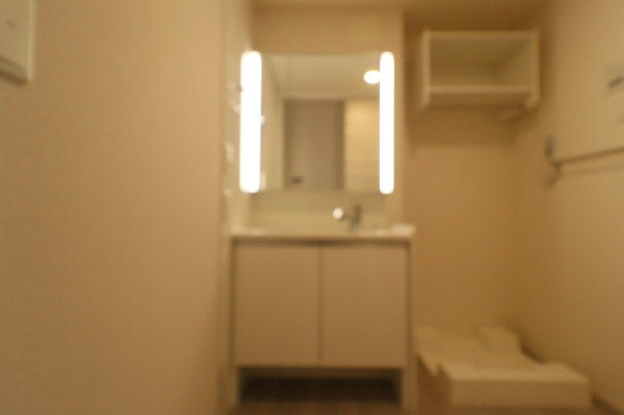 palacio Aの洗面所|洗髪洗面化粧台（二面鏡）