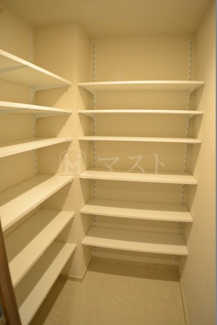 大阪市中央区南本町４丁目の賃貸マンションの玄関