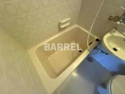 ヴェルデみきの浴室