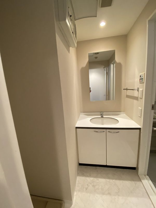 デュオ・スカーラ西新宿Ⅱの独立洗面台