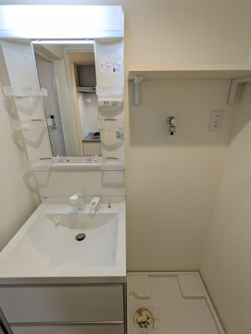 ハーモニーテラス二番Ⅳの洗面所