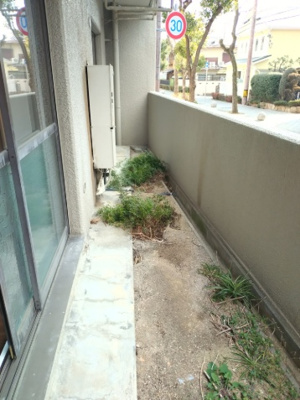 【庭】 | 芦屋呉川町ハウス