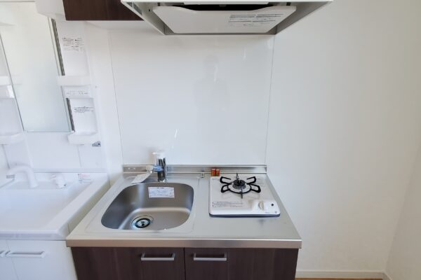 リオグランデ亀戸の洗面所