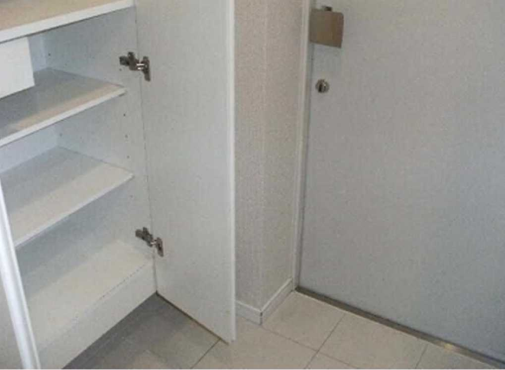 レジデンス桜新町スクエア　礼金０　ペット相談　ネット無料の玄関