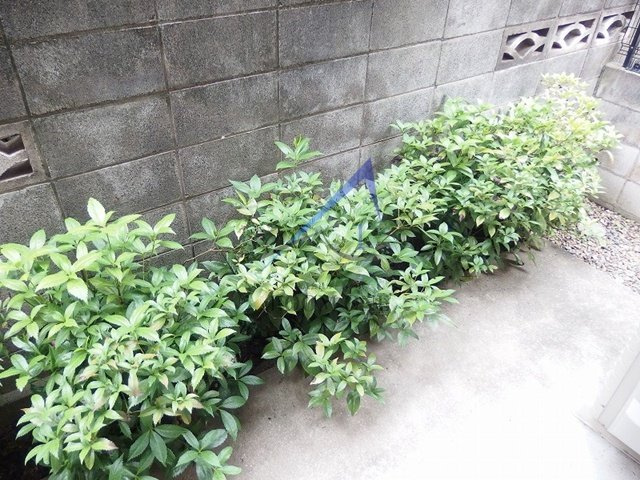 スターヴァレイ　サンク