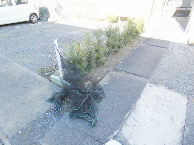 【その他共用部分】 | コージーハウス真野