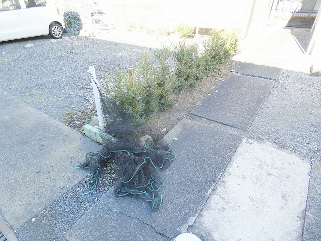 【その他共用部分】 | コージーハウス真野