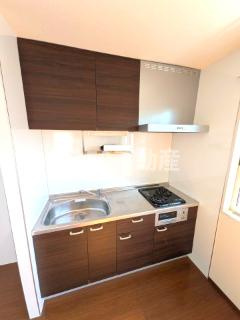 カーサスガⅡのキッチン