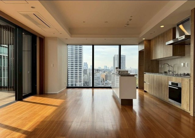 千代田区紀尾井町の賃貸マンションのその他|リビング