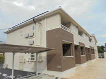 ネオグレイスの画像