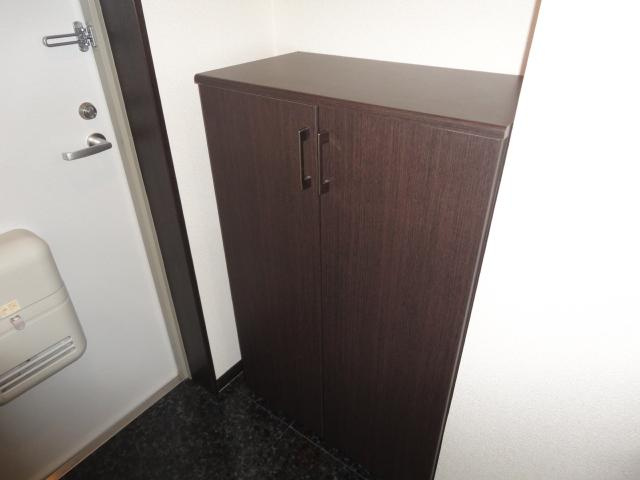 メゾンドガスパール名駅の収納|下駄箱