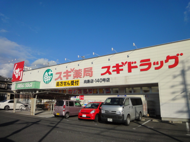 グランドールⅤの周辺|スギ薬局向島店まで796ｍ