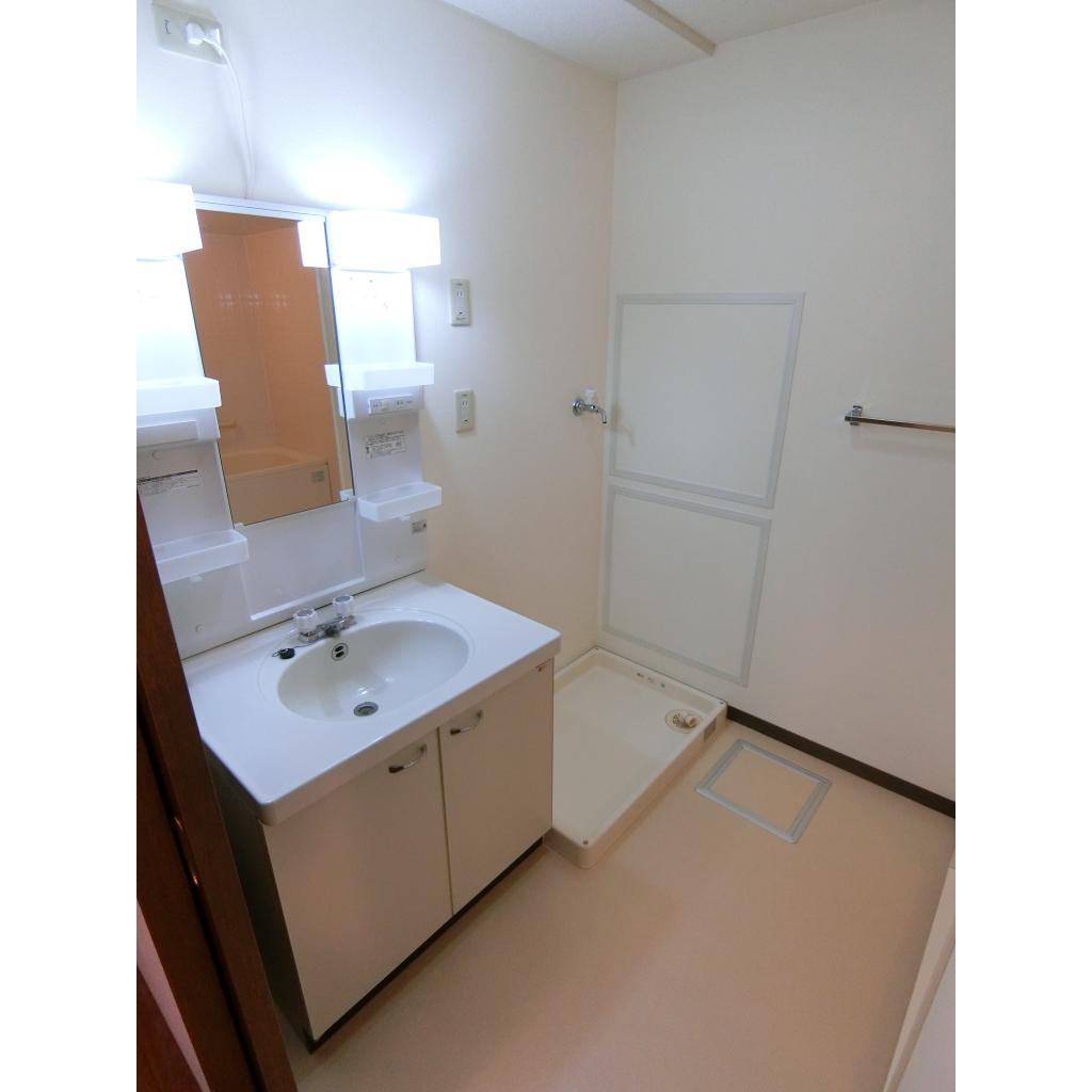 メゾンドーム三軒家の洗面所